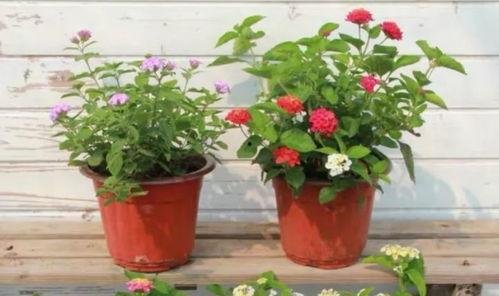 爆料永康医院事件视频最新,真相与争议再引热议  第3张