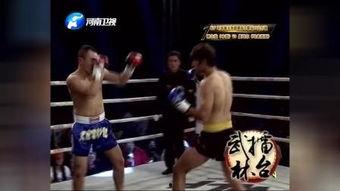 爆料武林风的视频,精彩瞬间回顾与幕后故事揭秘  第2张